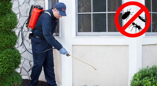 Mithatpaşa Bit İlaçlama böcek ilaçlama ve haşere kontrolü — ilaclama-tr.com